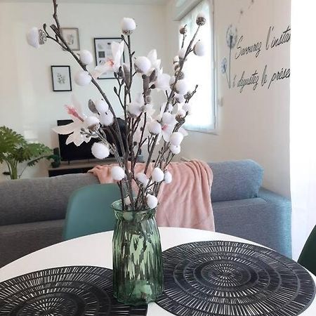 Proche Aeroport A Pied, Le Reve Rose. Apartment Tille Luaran gambar