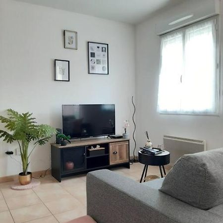 Proche Aeroport A Pied, Le Reve Rose. Apartment Tille Luaran gambar