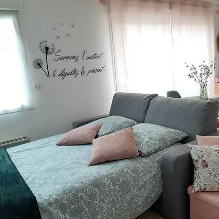 Proche Aeroport A Pied, Le Reve Rose. Apartment Tille Luaran gambar