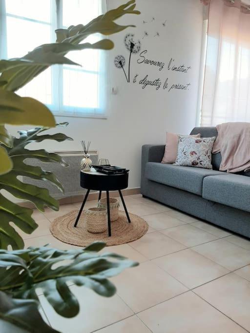 Proche Aeroport A Pied, Le Reve Rose. Apartment Tille Luaran gambar