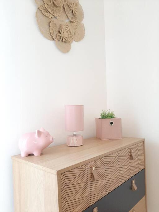 Proche Aeroport A Pied, Le Reve Rose. Apartment Tille Luaran gambar