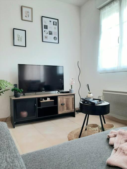 Proche Aeroport A Pied, Le Reve Rose. Apartment Tille Luaran gambar